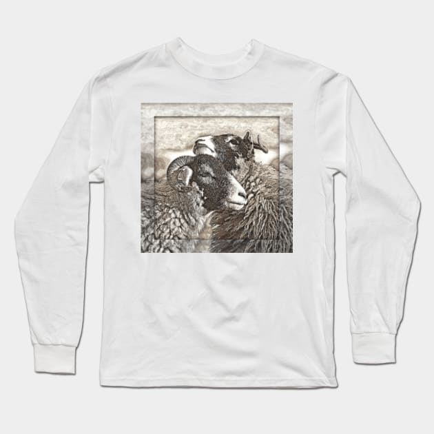 Swaledale Sheep 'Friends' Long Sleeve T-Shirt by Furtographic